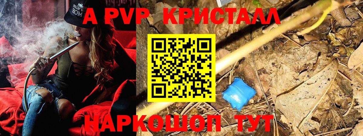 А ПВП СК Зеленогорск