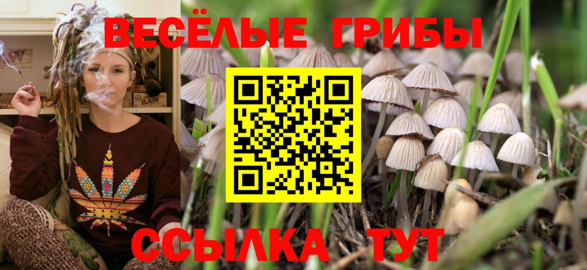 Галлюциногенные грибы Magic Shrooms  Вход с VPN  Зеленогорск 